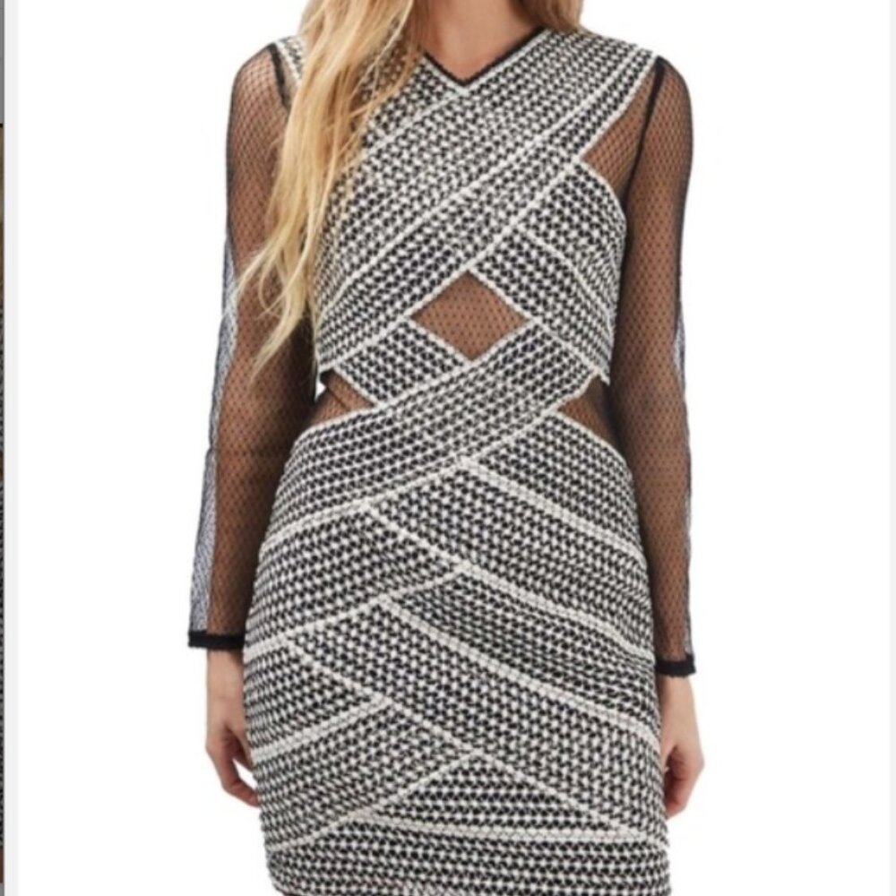 TopShop Black & White Mesh Dress